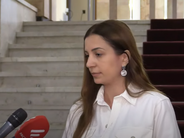 Брифинг депутата от фракции «Армения» Анны Григорян (видео)
